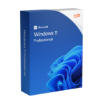 Microsoft Windows 11 Pro Professional