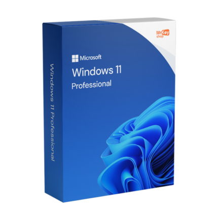 Microsoft Windows 11 Pro Professional